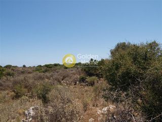 Αγροτεμάχια 6.000 τ.μ. για πώληση, Ν. Χανίων, Βάμος-thumb-2