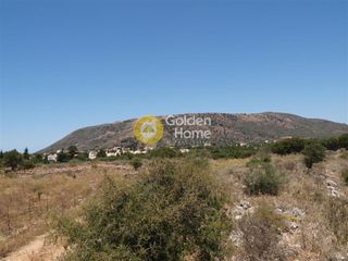 Αγροτεμάχια 6.000 τ.μ. για πώληση, Ν. Χανίων, Βάμος-thumb-4