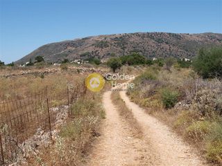 Αγροτεμάχια 6.000 τ.μ. για πώληση