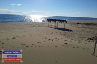 Αγροτεμάχια 4.508 τ.μ. για πώληση, Ν. Καβάλας, Ελευθερές-thumb-15