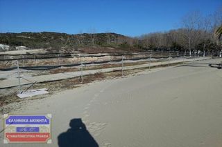 Αγροτεμάχια 4.508 τ.μ. για πώληση, Ν. Καβάλας, Ελευθερές-thumb-2