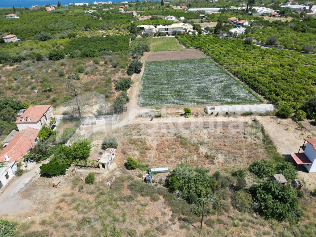 Οικόπεδο 1.500 τ.μ. προς πώληση, Τροιζήνα