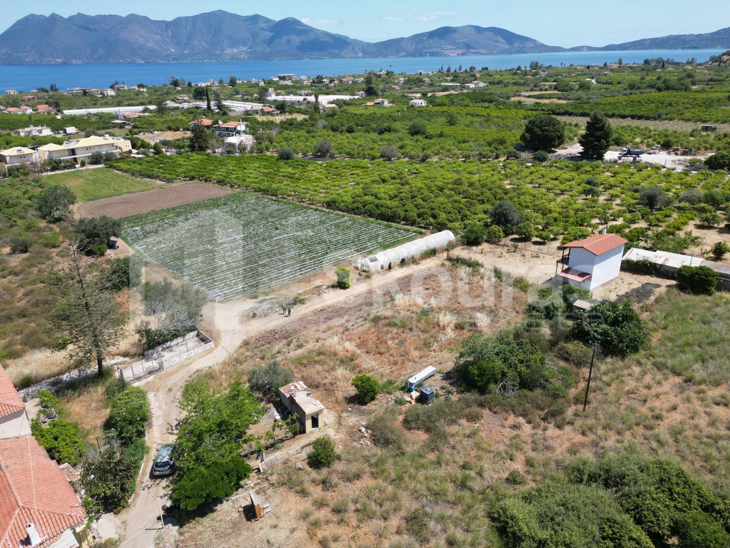 Οικόπεδο 1.500 τ.μ. προς πώληση, Τροιζήνα