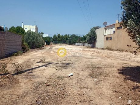 Οικόπεδο 1.600τ.μ. για πώληση-Αρτέμιδα (λούτσα) » Κατασκηνώσεις