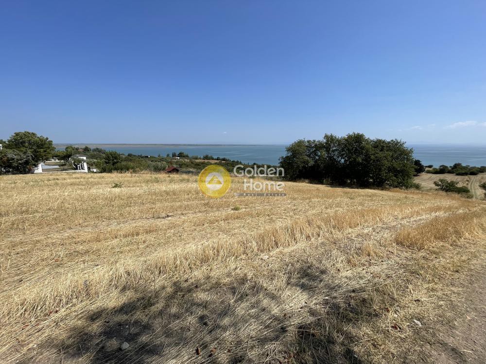 Αγροτεμάχια 4.235 τ.μ. προς πώληση, Ν. Πιερίας, Μεθώνη