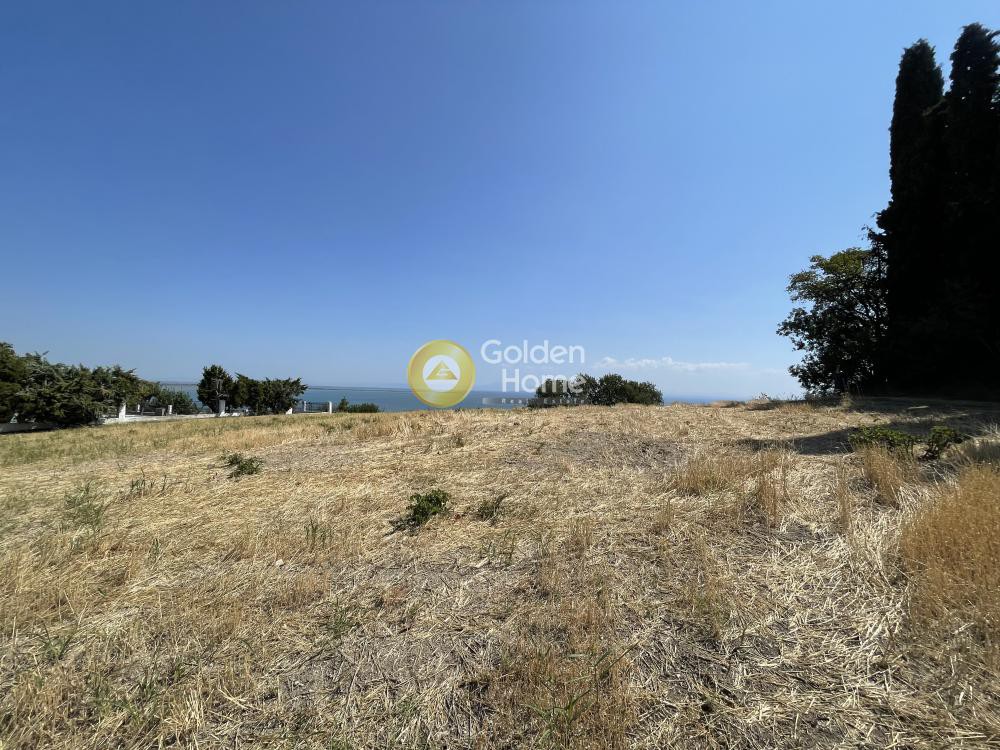 Αγροτεμάχια 4.235 τ.μ. προς πώληση, Ν. Πιερίας, Μεθώνη