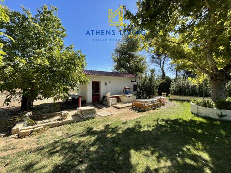 Αγροτεμάχια 4.438,49 τ.μ. για πώληση