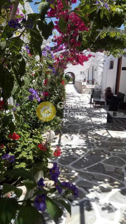 Ξενοδοχείο 1.200 τ.μ. προς πώληση, Κυκλάδες, Ίος