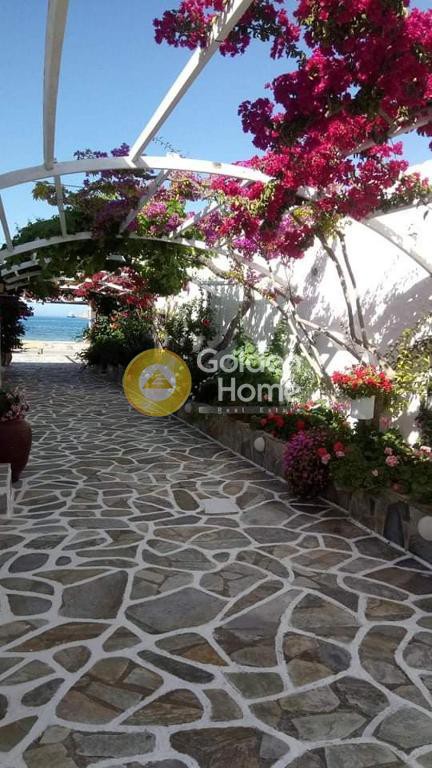 Ξενοδοχείο 1.200 τ.μ. προς πώληση, Κυκλάδες, Ίος