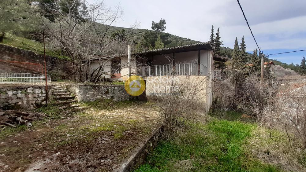 Μονοκατοικία 200 τ.μ. προς πώληση, Φθιώτιδας, Αμφίκλεια