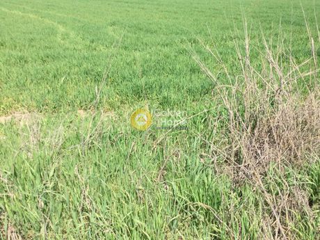 Parcel 6.000sqm for sale-Thermi » Neo Risio