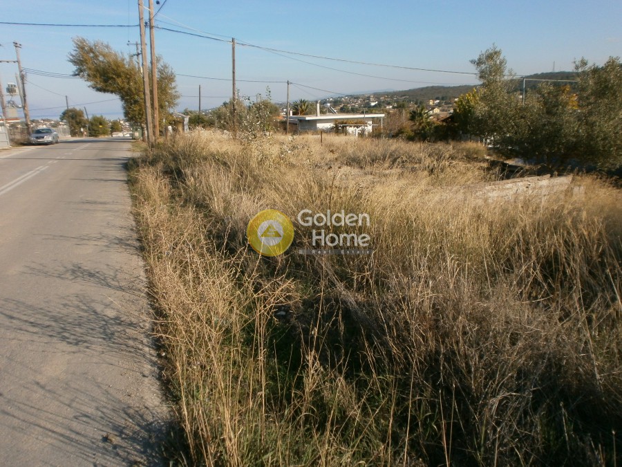 Αγροτεμάχια 323 τ.μ. προς πώληση, Δήλεσι