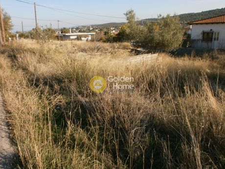 Parcel 323sqm for sale-Inofita » Dilesi