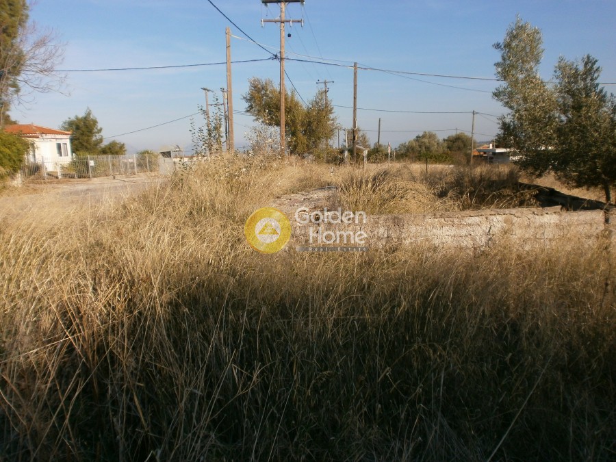 Αγροτεμάχια 323 τ.μ. προς πώληση, Δήλεσι
