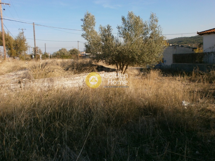 Αγροτεμάχια 323 τ.μ. προς πώληση, Δήλεσι