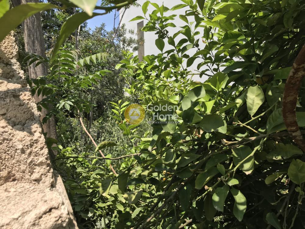 Οικόπεδο 342 τ.μ. προς πώληση, Πυργούθι