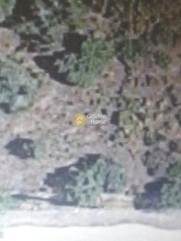 Land plot 407sqm for sale-Keratea » Ari