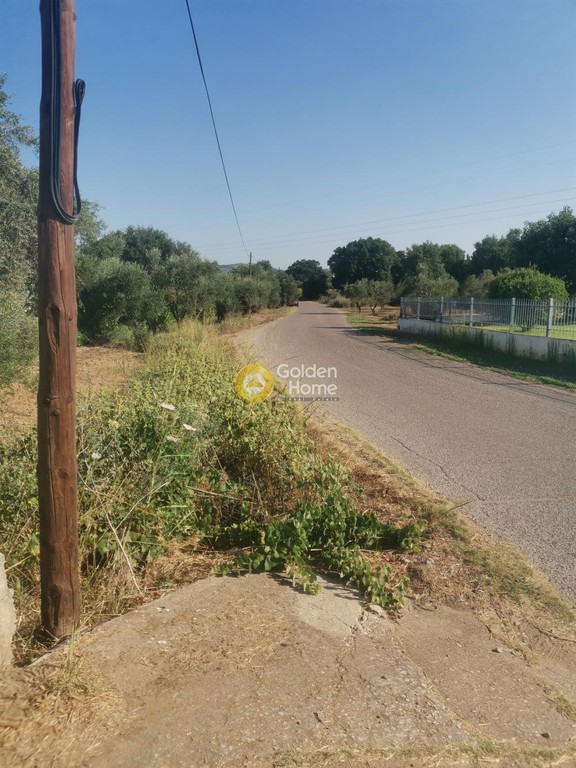 Αγροτεμάχια 3.200 τ.μ. προς πώληση, Ράχες Εχιναίων