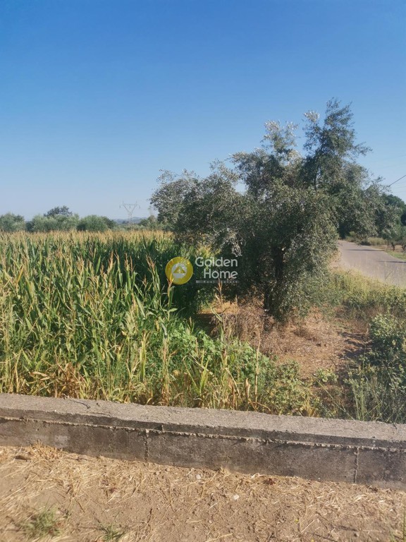Αγροτεμάχια 3.200 τ.μ. προς πώληση, Ράχες Εχιναίων