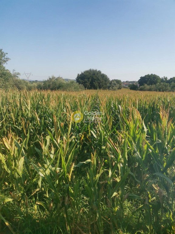 Αγροτεμάχια 3.200 τ.μ. προς πώληση, Ράχες Εχιναίων