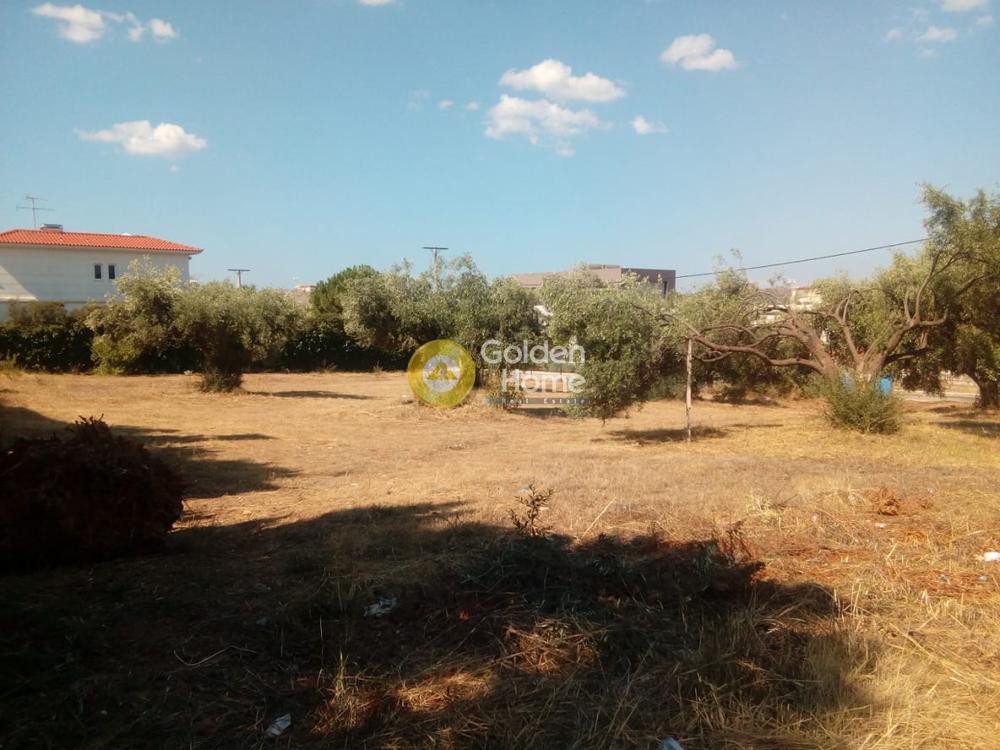 Οικόπεδο 1.380 τ.μ. προς πώληση, Μηλαδέζα