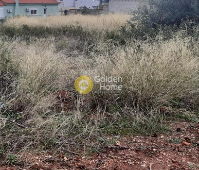 Οικόπεδο 3.069 τ.μ. για πώληση