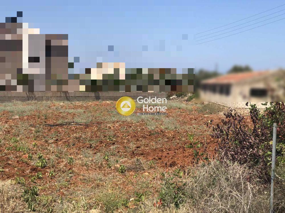Οικόπεδο 2.404 τ.μ. προς πώληση, Μάλια Ηρακλείου