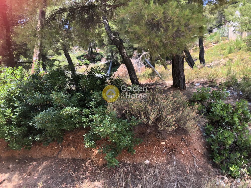 Οικόπεδο 1.250 τ.μ. προς πώληση, Θρακομακεδόνες