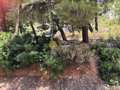 Land plot 1.250 sqm for sale