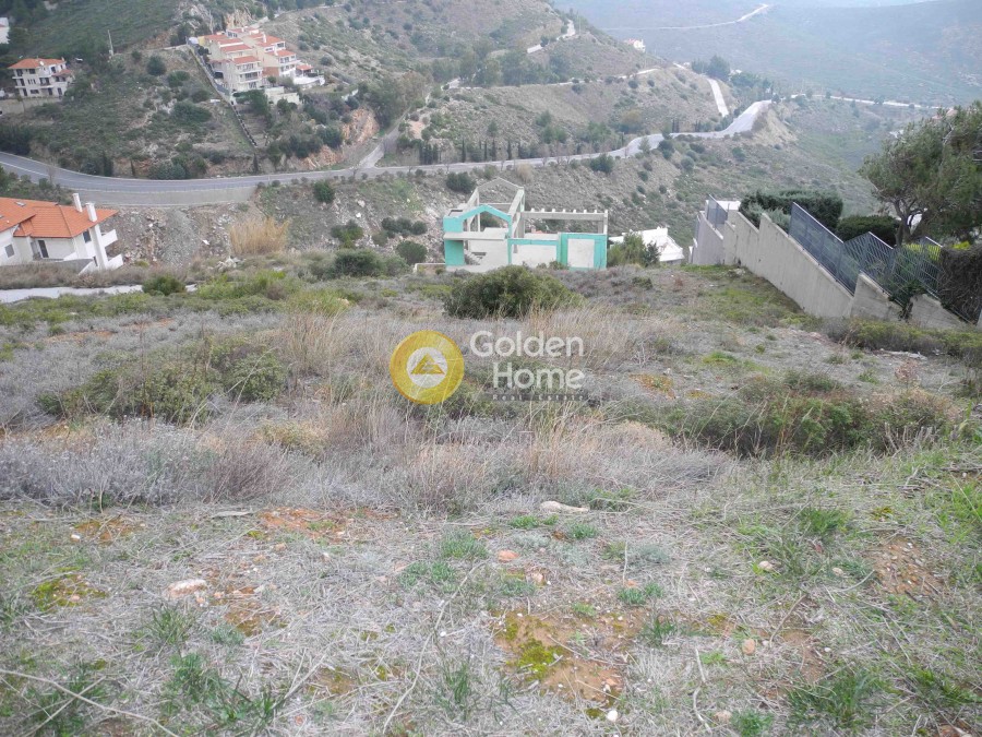Οικόπεδο 1.022 τ.μ. προς πώληση, Ανθούσα Αττικής