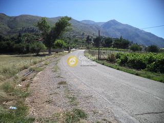 Αγροτεμάχια 4.500 τ.μ. προς πώληση, Πυργάκι Αιγίου-thumb-3