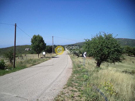 Αγροτεμάχια 4.500τ.μ. για πώληση-Αίγιο » Πυργάκι