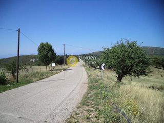 Αγροτεμάχια 4.500 τ.μ. για πώληση