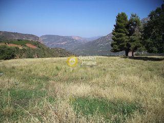 Αγροτεμάχια 4.500 τ.μ. προς πώληση, Πυργάκι Αιγίου-thumb-2