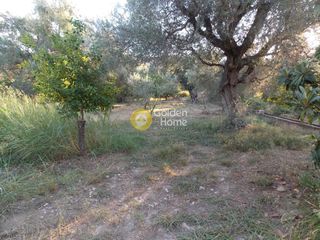 Οικόπεδο 500 τ.μ. για πώληση, Αχαΐα, Ακράτα-thumb-1