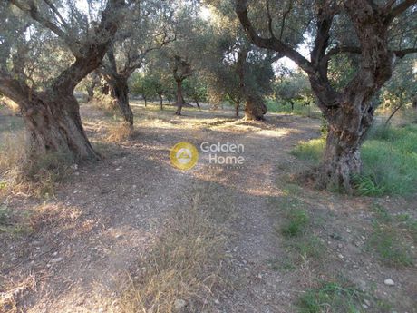 Οικόπεδο 500τ.μ. για πώληση-Ακράτα » Κράθιο