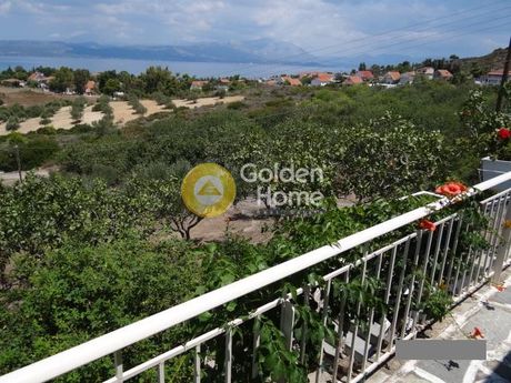 Αγροτεμάχια 16.023τ.μ. για πώληση-Ωρωπός » Νέο συκάμινο