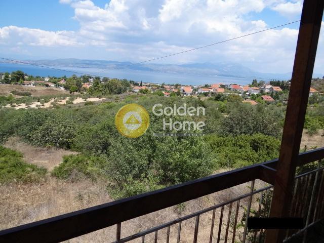 Αγροτεμάχια 16.023 τ.μ. προς πώληση, Νέο Συκάμινο