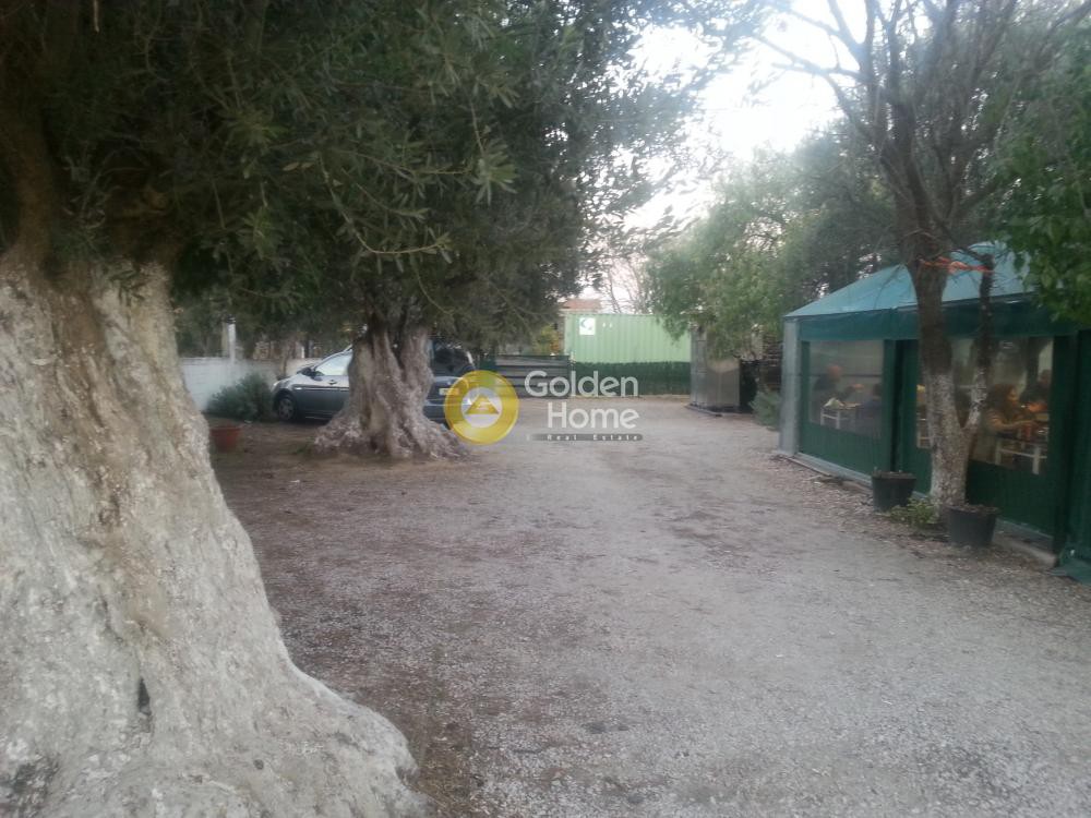 Μονοκατοικία 45 τ.μ. προς πώληση, Κέντρο Σπάτων