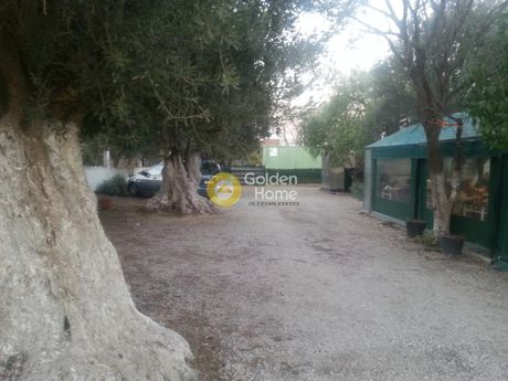 Μονοκατοικία 45τ.μ. για πώληση-Σπάτα » Κέντρο
