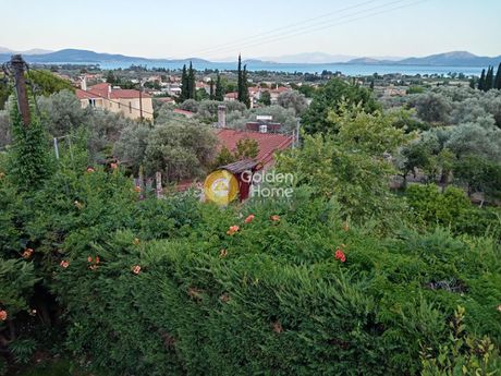Μονοκατοικία 275 τ.μ. για πώληση