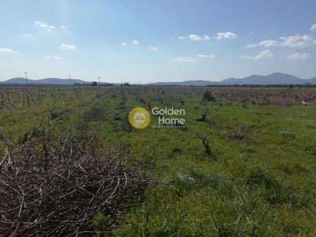 Αγροτεμάχια 3.500τ.μ. για ενοικίαση-Σπάτα » Κέντρο