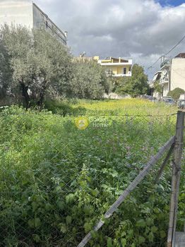 Land plot 600 sqm for sale