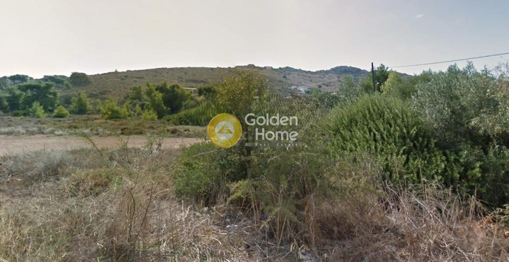 Αγροτεμάχια 11.710 τ.μ. προς πώληση, Ψιλή Άμμος