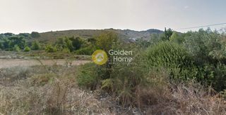 Αγροτεμάχια 11.710 τ.μ. για πώληση