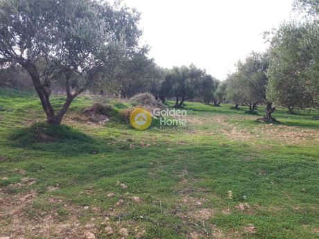 Οικόπεδο 19.005τ.μ. για πώληση-Καστέλλι » Ευαγγελισμός