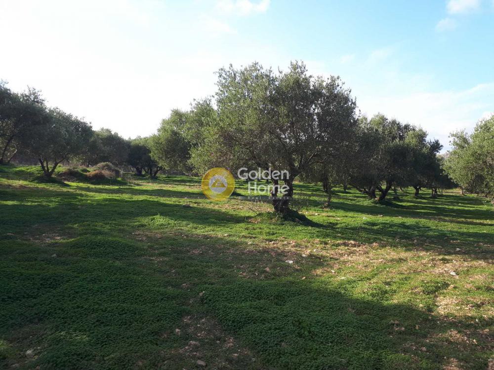 Οικόπεδο 19.005 τ.μ. προς πώληση, Ευαγγελισμός Καστελλίου