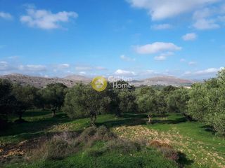 Οικόπεδο 19.005 τ.μ. προς πώληση, Ευαγγελισμός Καστελλίου-thumb-7