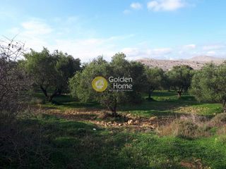 Οικόπεδο 19.005 τ.μ. προς πώληση, Ευαγγελισμός Καστελλίου-thumb-6