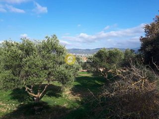 Οικόπεδο 19.005 τ.μ. προς πώληση, Ευαγγελισμός Καστελλίου-thumb-5